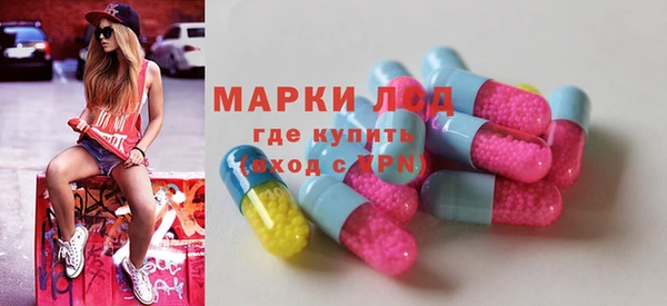 гидра Абаза