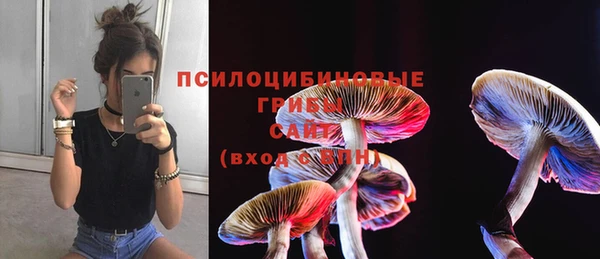 гидра Абаза