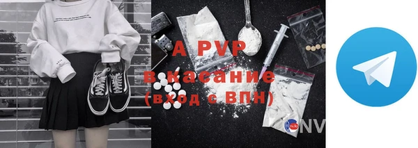 PSILOCYBIN Лабытнанги