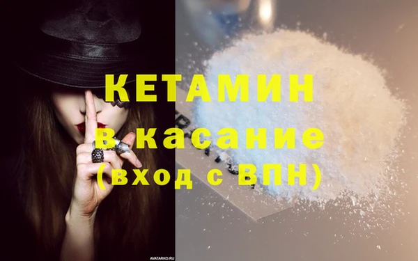 гидра Абаза
