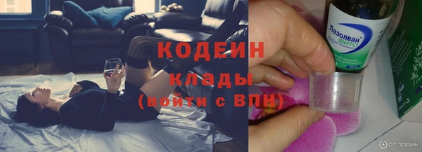 Альфа ПВП Лагань