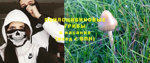 гидра Абаза