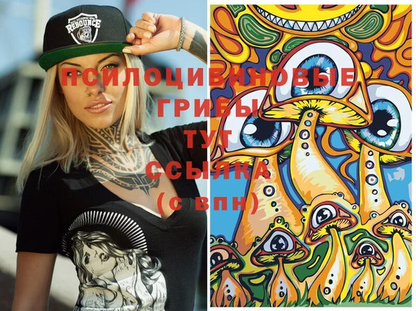 PSILOCYBIN Лабытнанги