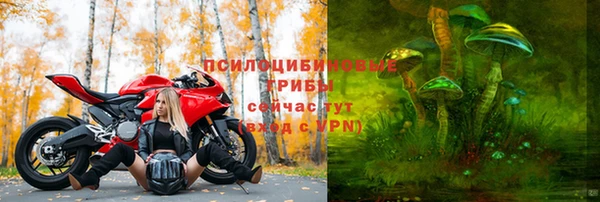 гидропоника Абдулино