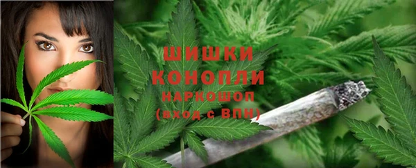 Альфа ПВП Лагань