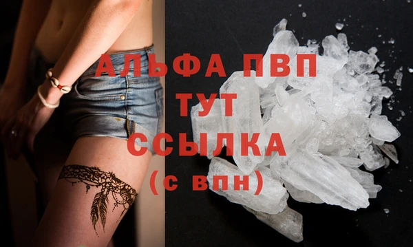 шишки Ладушкин