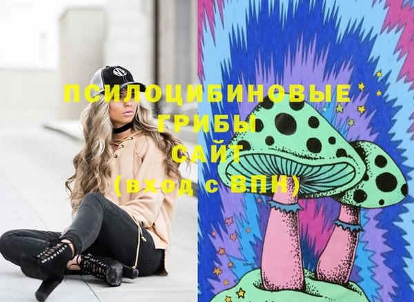 гидра Абаза